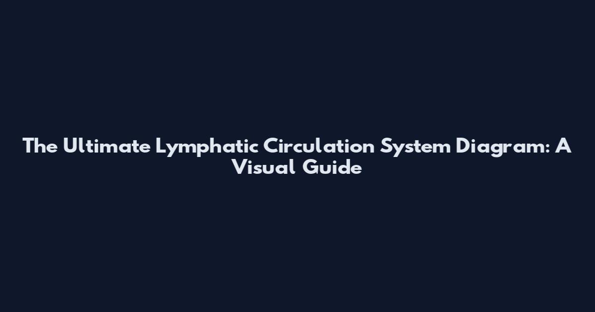 The Ultimate Lymphatic Circulation System Diagram: A Visual Guide