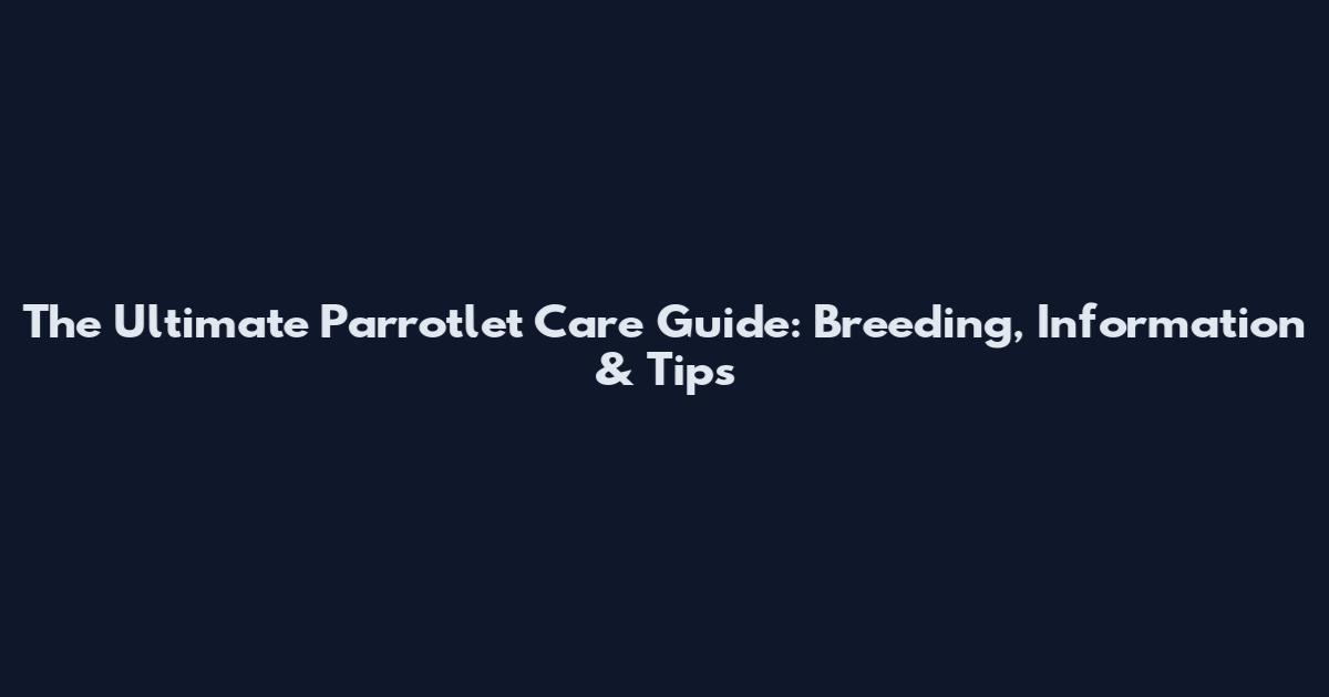 The Ultimate Parrotlet Care Guide: Breeding, Information & Tips