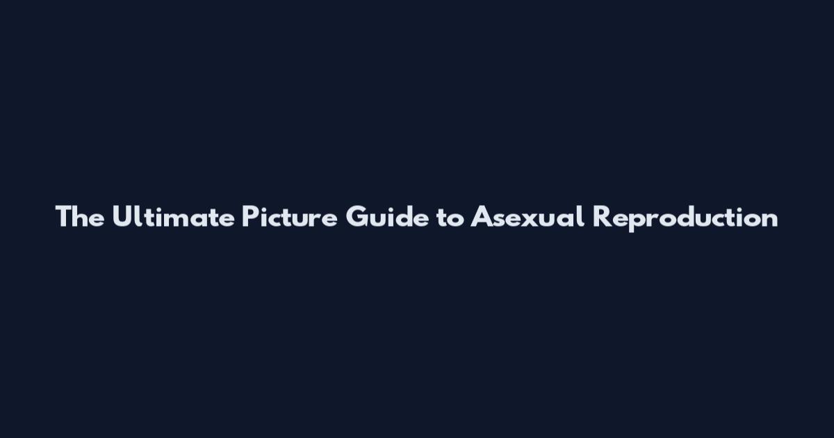 The Ultimate Picture Guide to Asexual Reproduction