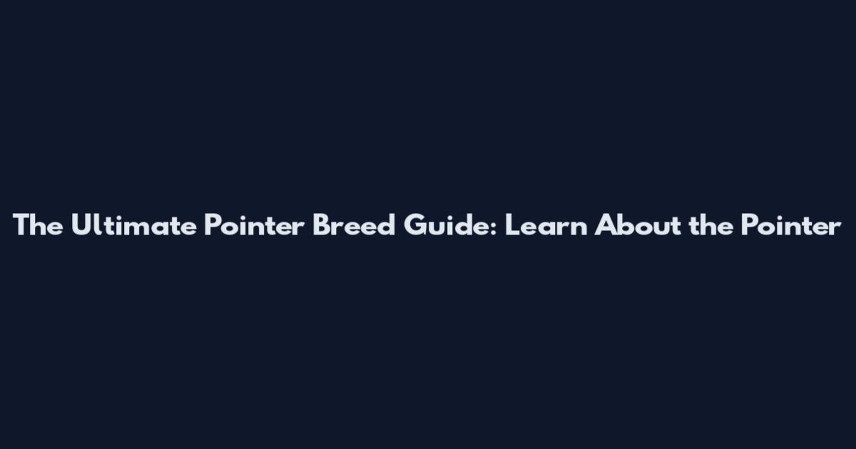 The Ultimate Pointer Breed Guide: Learn About the Pointer