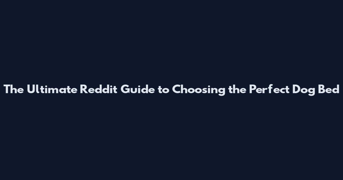The Ultimate Reddit Guide to Choosing the Perfect Dog Bed