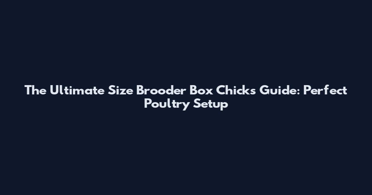 The Ultimate Size Brooder Box Chicks Guide: Perfect Poultry Setup