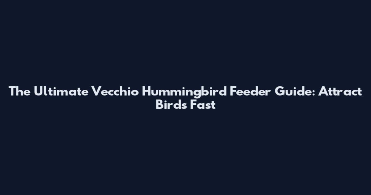 The Ultimate Vecchio Hummingbird Feeder Guide: Attract Birds Fast