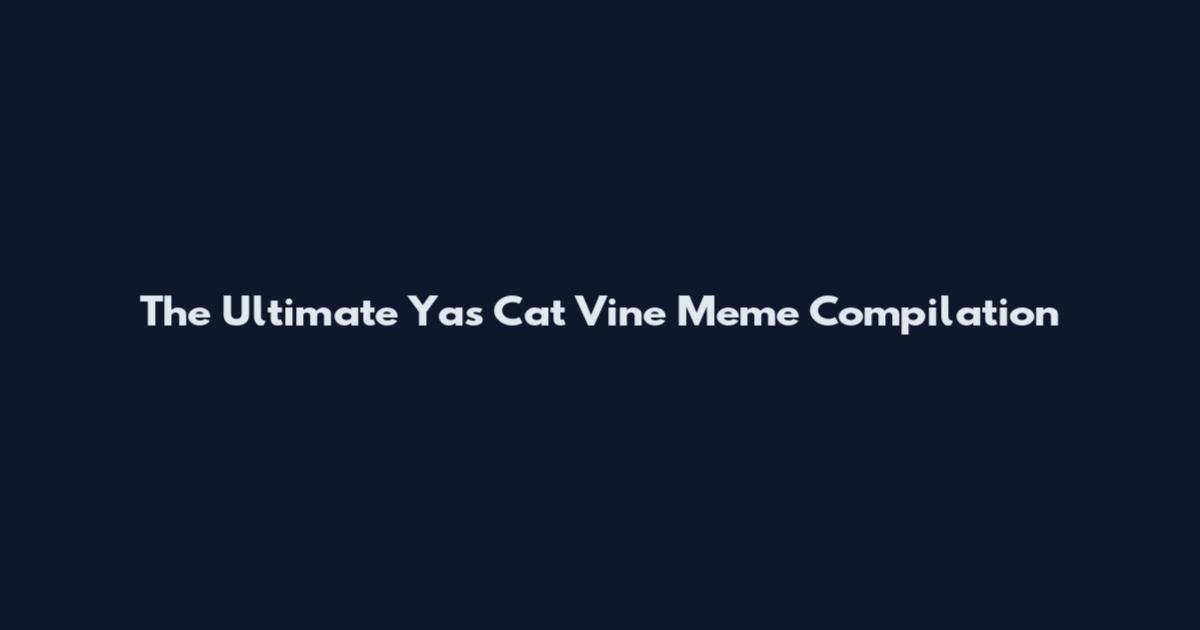 The Ultimate Yas Cat Vine Meme Compilation