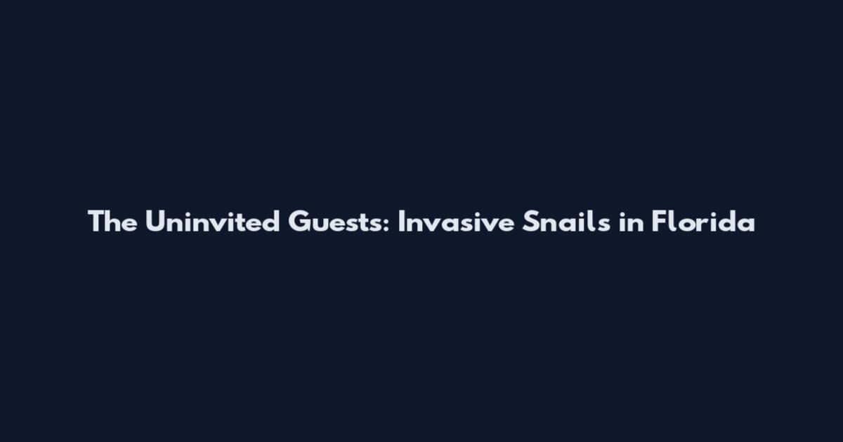 The Uninvited Guests: Invasive Snails in Florida