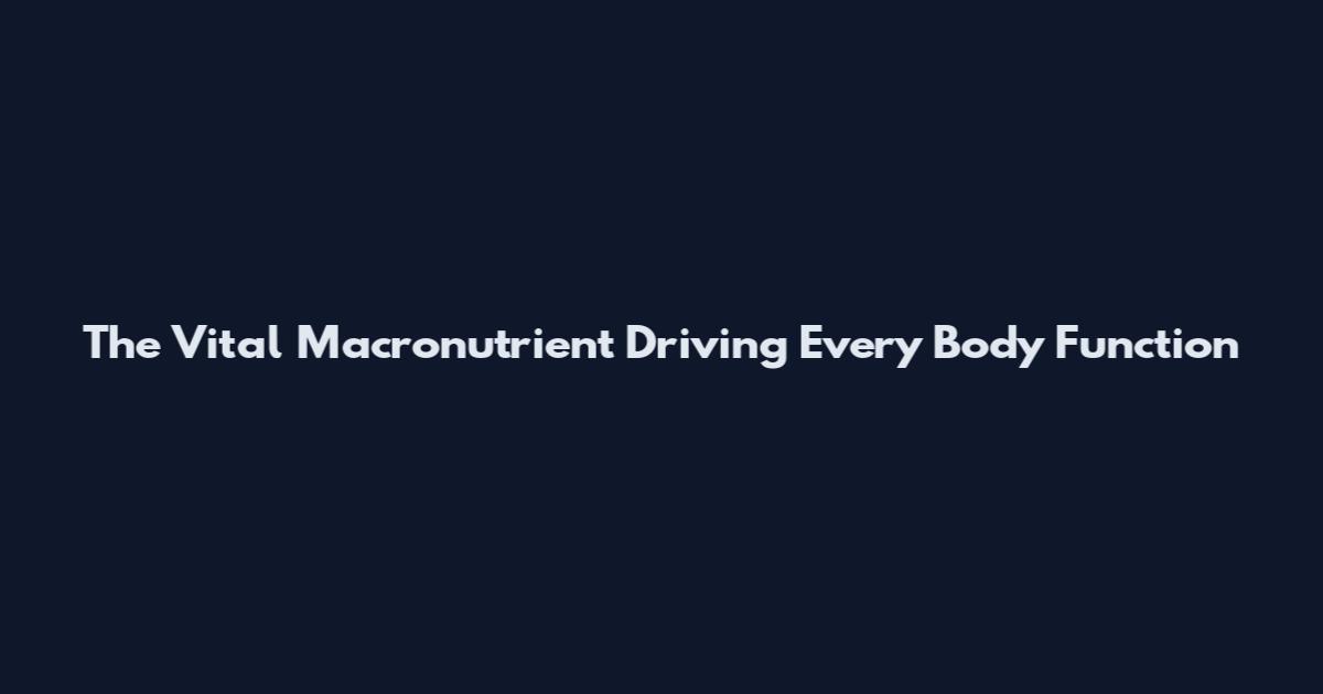 The Vital Macronutrient Driving Every Body Function