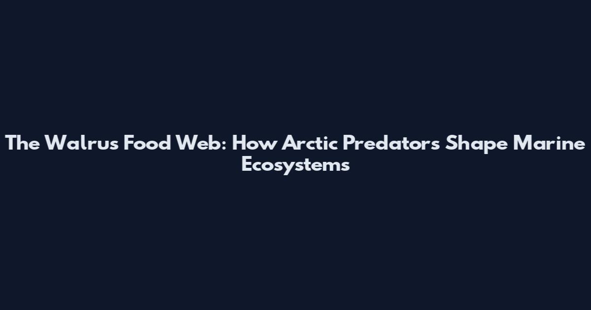 The Walrus Food Web: How Arctic Predators Shape Marine Ecosystems