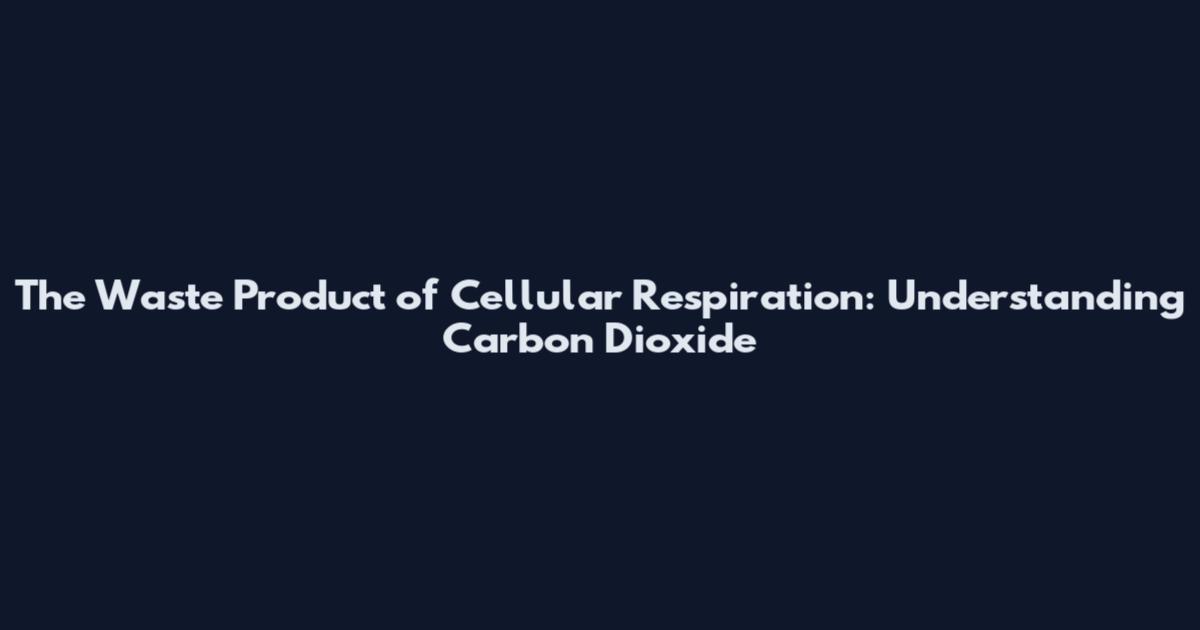 The Waste Product of Cellular Respiration: Understanding Carbon Dioxide