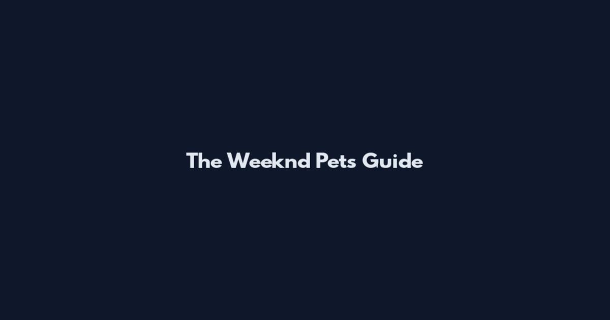 The Weeknd Pets Guide