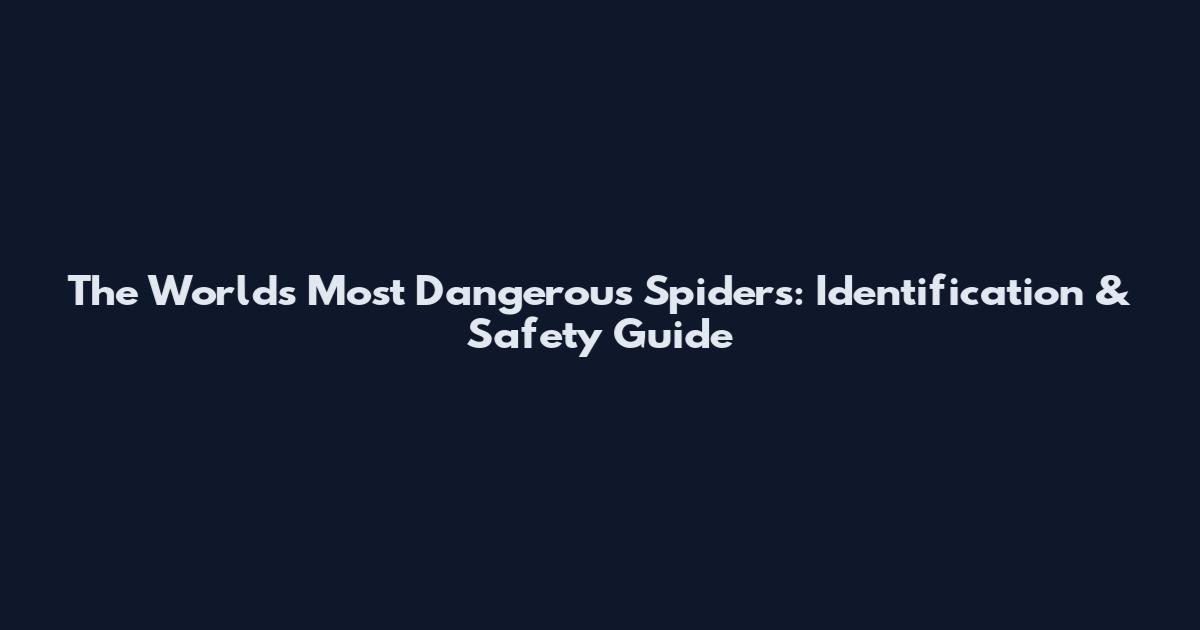 The World's Most Dangerous Spiders: Identification & Safety Guide