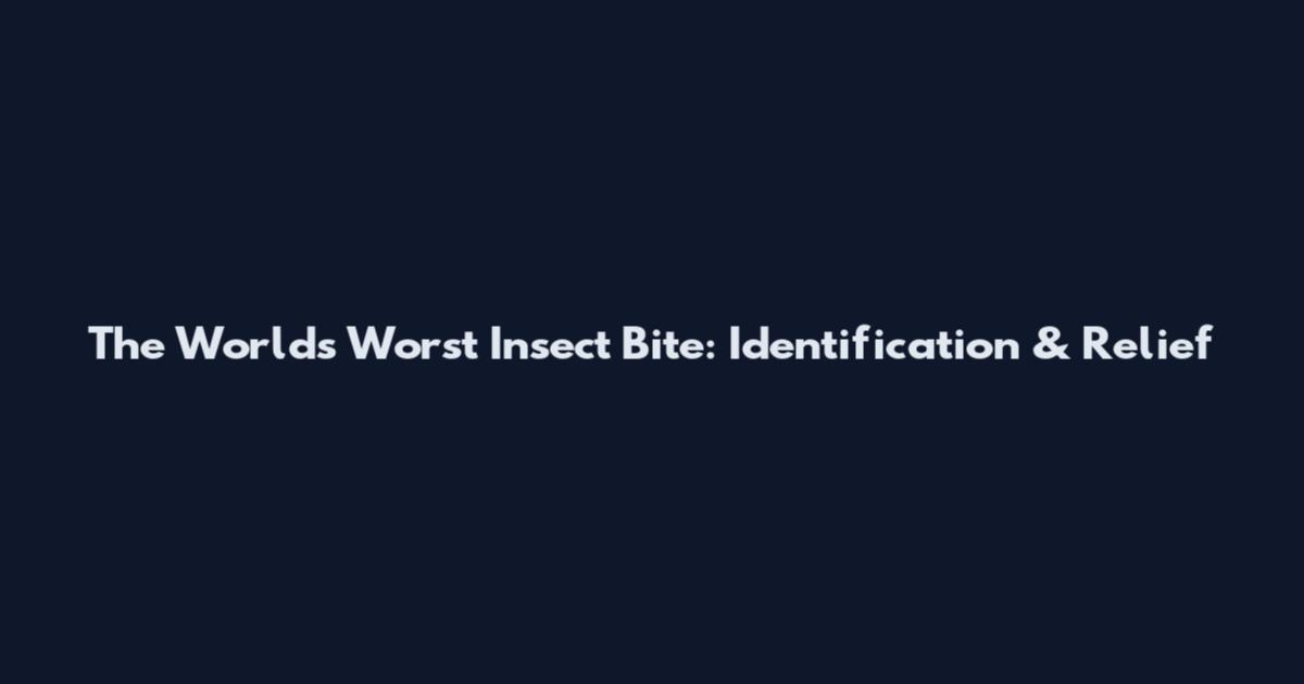 The World's Worst Insect Bite: Identification & Relief