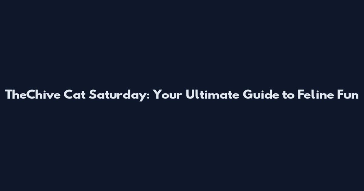 TheChive Cat Saturday: Your Ultimate Guide to Feline Fun