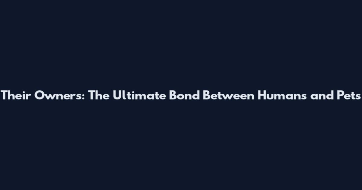 Their Owners: The Ultimate Bond Between Humans and Pets