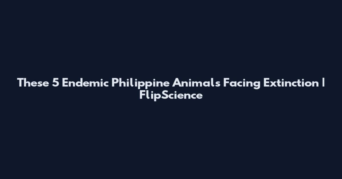 These 5 Endemic Philippine Animals Facing Extinction | FlipScience