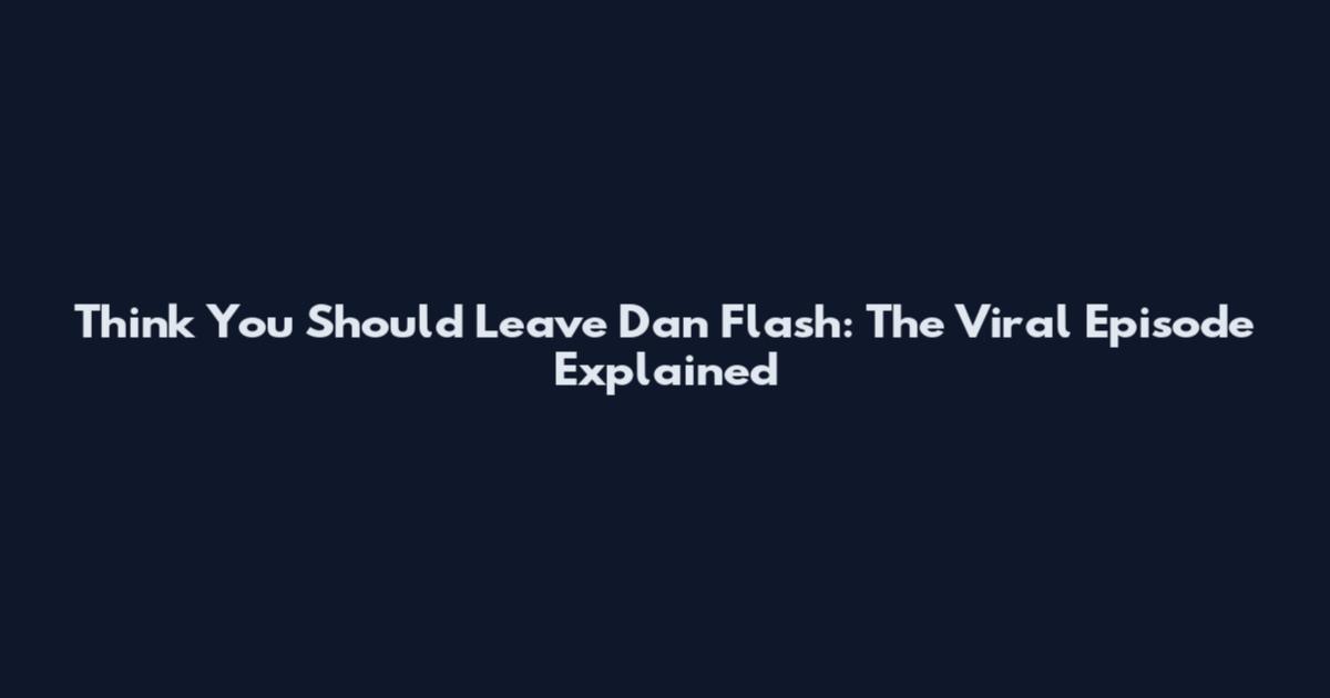 Think You Should Leave Dan Flash: The Viral Episode Explained