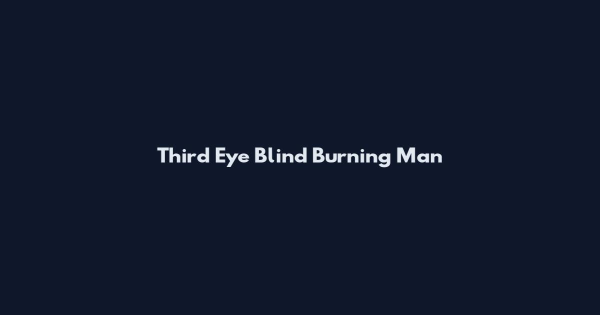 Third Eye Blind Burning Man