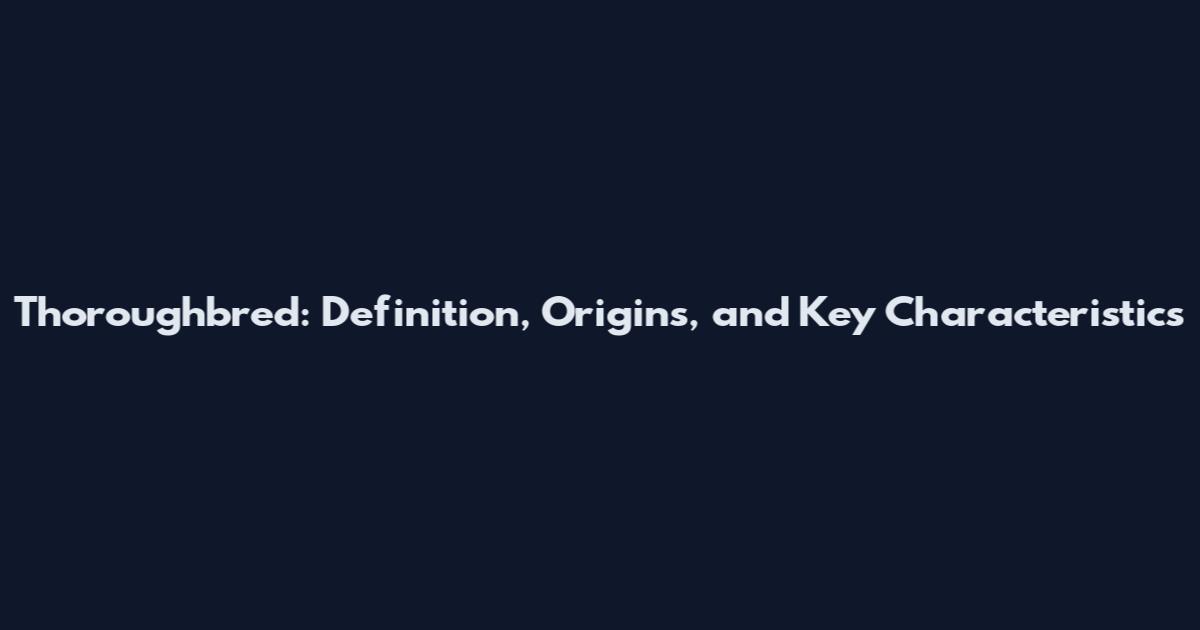 Thoroughbred: Definition, Origins, and Key Characteristics
