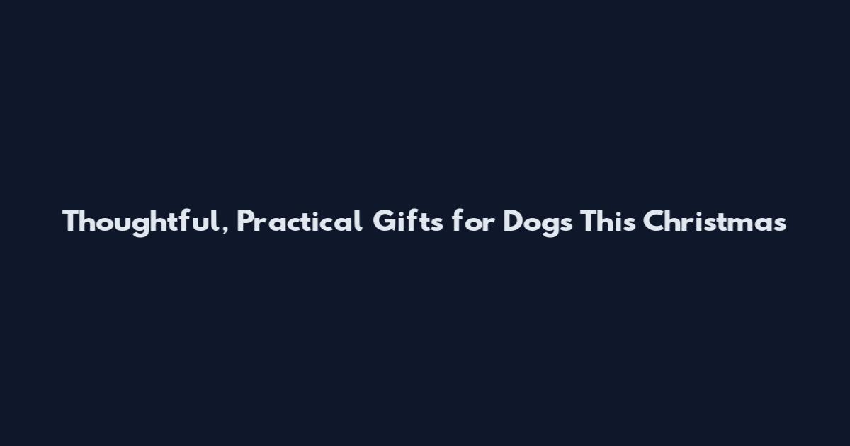 Thoughtful, Practical Gifts for Dogs This Christmas