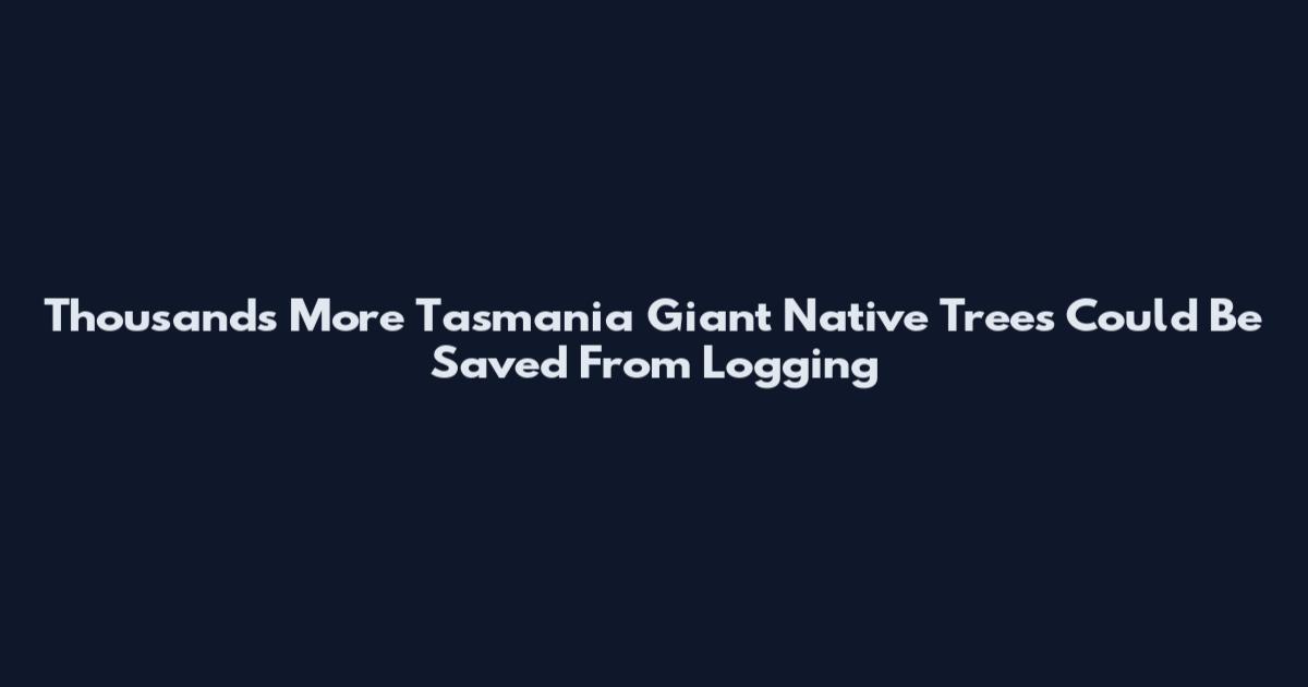 Thousands More Tasmania Giant Native Trees Could Be Saved From Logging