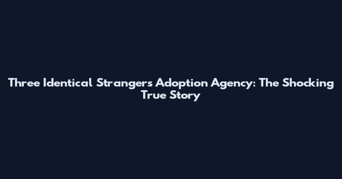 Three Identical Strangers Adoption Agency: The Shocking True Story