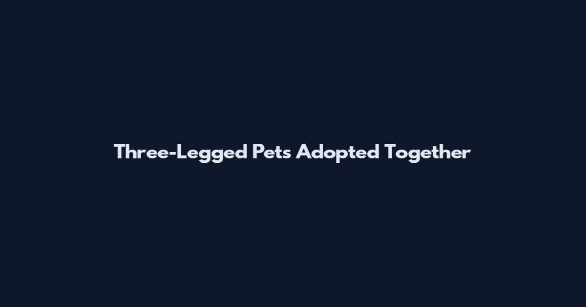 Three-Legged Pets Adopted Together