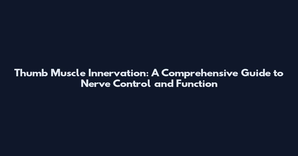 Thumb Muscle Innervation: A Comprehensive Guide to Nerve Control and Function