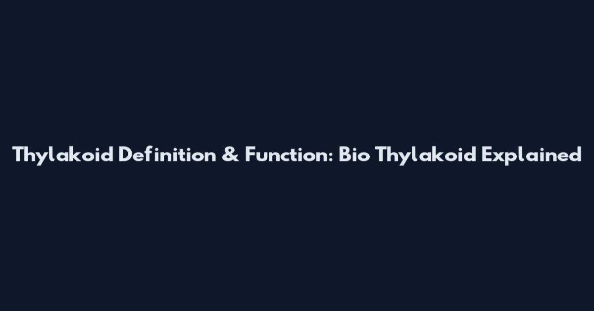 Thylakoid Definition & Function: Bio Thylakoid Explained