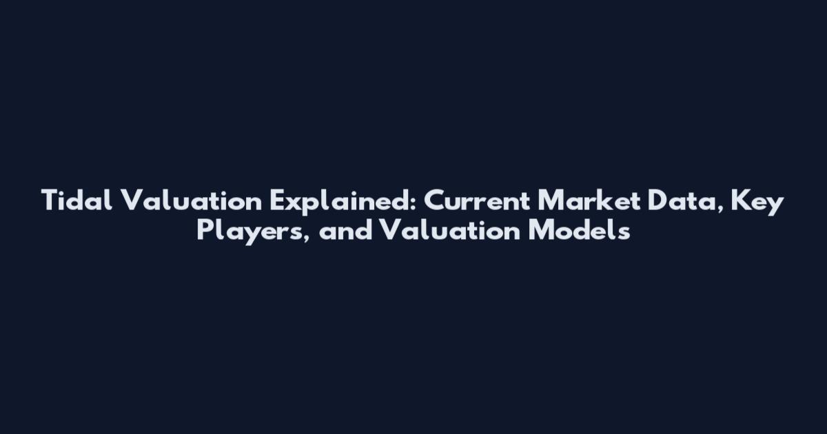 Tidal Valuation Explained: Current Market Data, Key Players, and Valuation Models