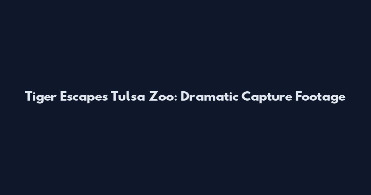 Tiger Escapes Tulsa Zoo: Dramatic Capture Footage
