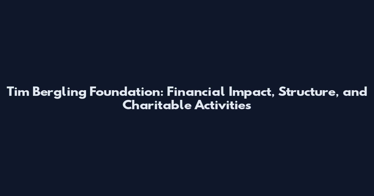 Tim Bergling Foundation: Financial Impact, Structure, and Charitable Activities