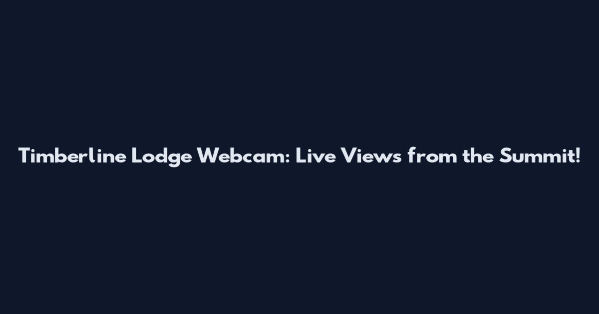 Timberline Lodge Webcam: Live Views from the Summit!