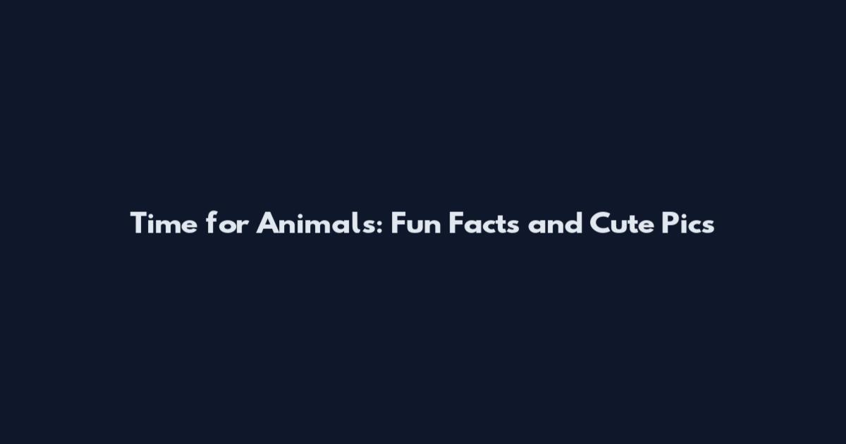 Time for Animals: Fun Facts and Cute Pics