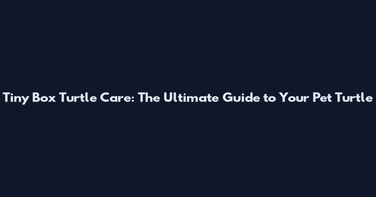 Tiny Box Turtle Care: The Ultimate Guide to Your Pet Turtle
