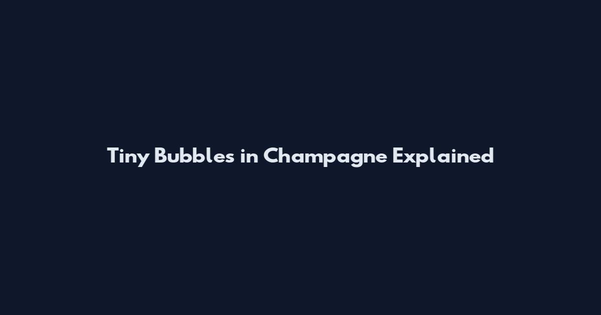 Tiny Bubbles in Champagne Explained