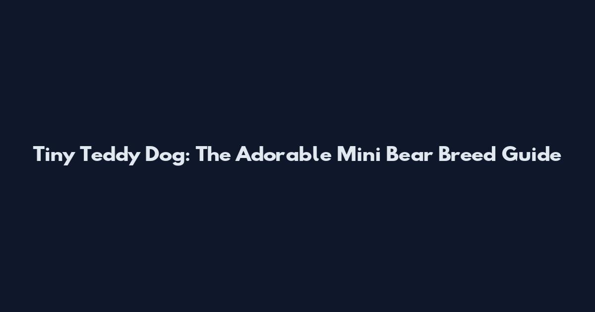 Tiny Teddy Dog: The Adorable Mini Bear Breed Guide