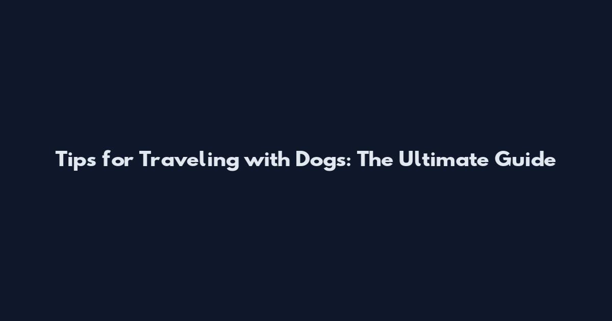 Tips for Traveling with Dogs: The Ultimate Guide