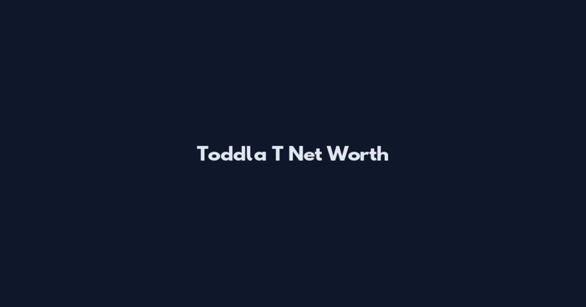 Toddla T Net Worth
