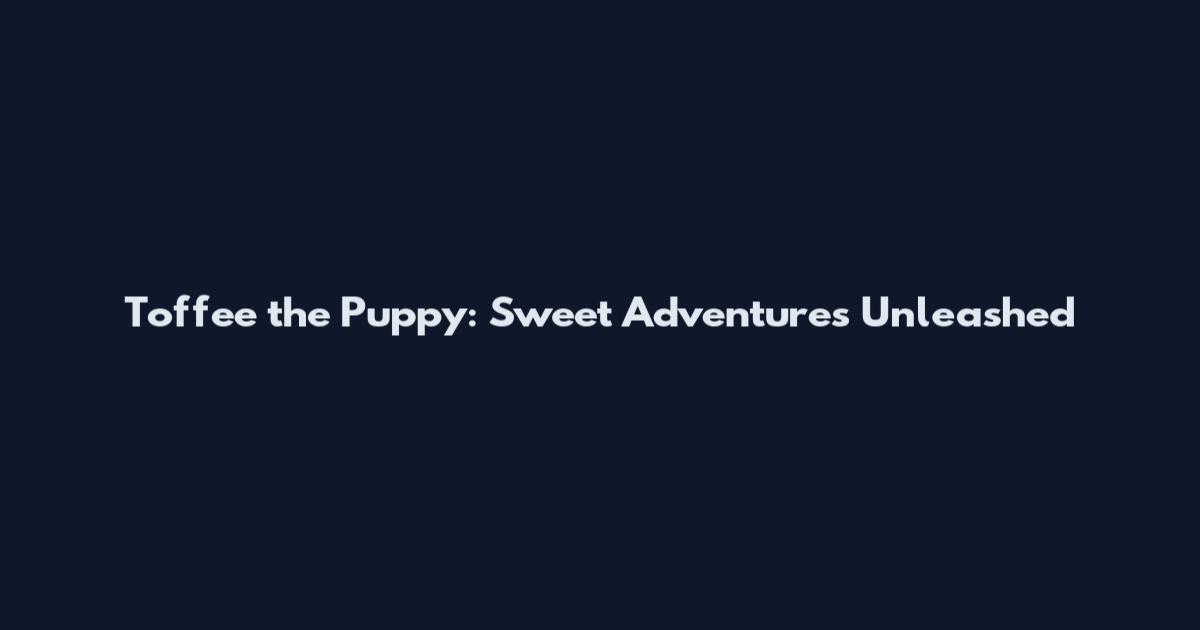 Toffee the Puppy: Sweet Adventures Unleashed