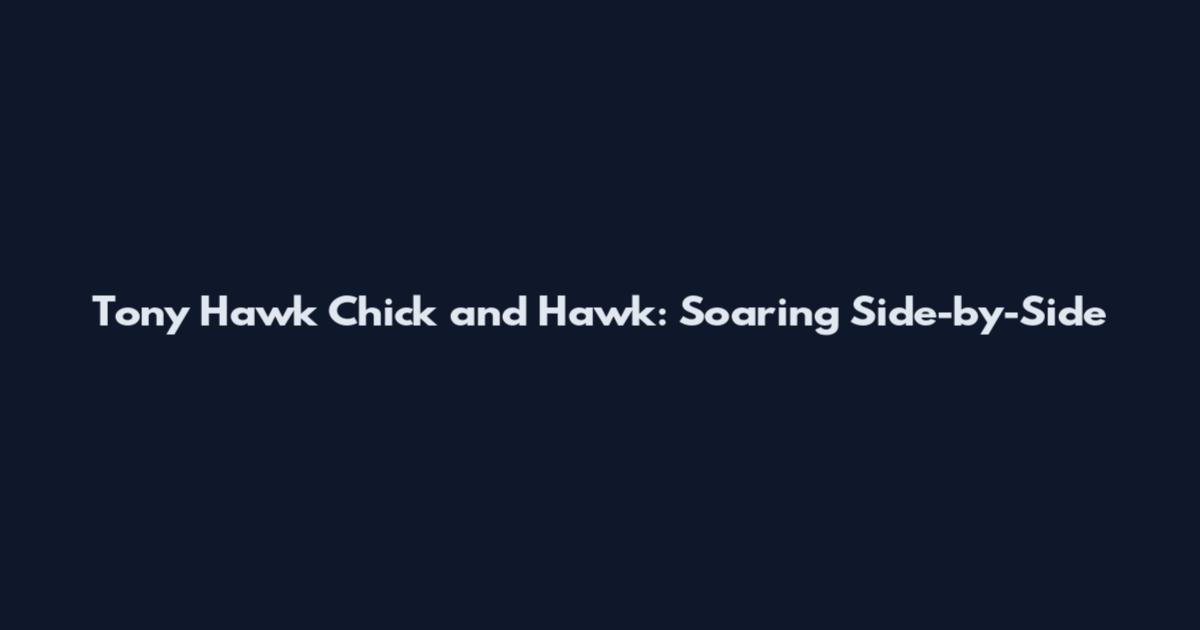 Tony Hawk Chick and Hawk: Soaring Side-by-Side
