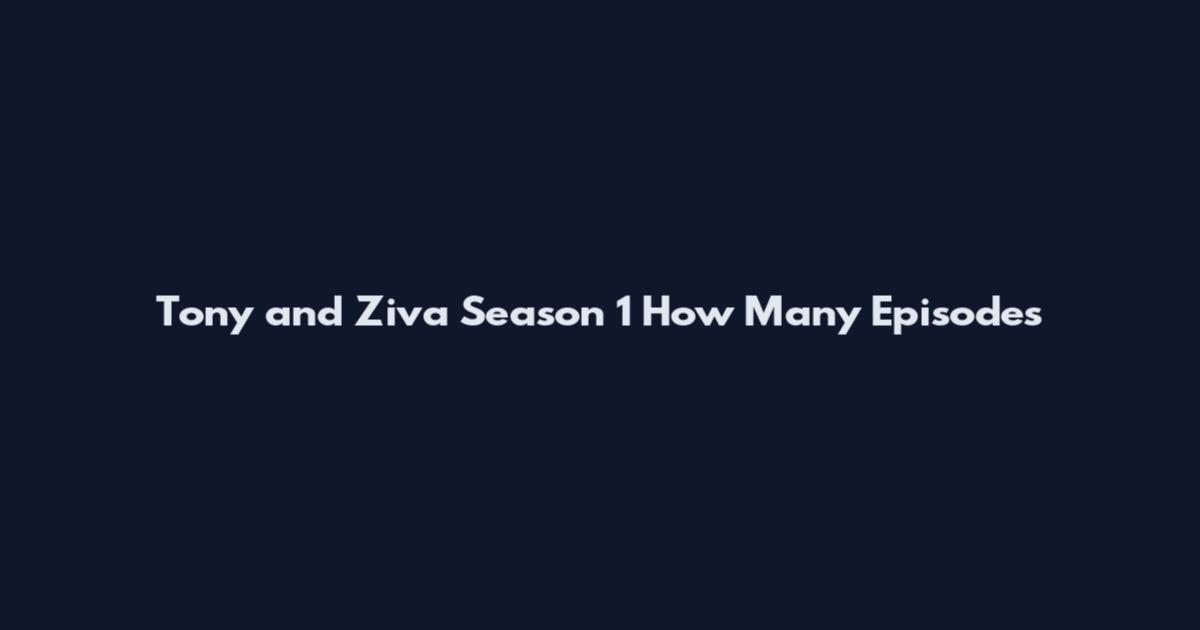 Tony and Ziva Season 1 How Many Episodes