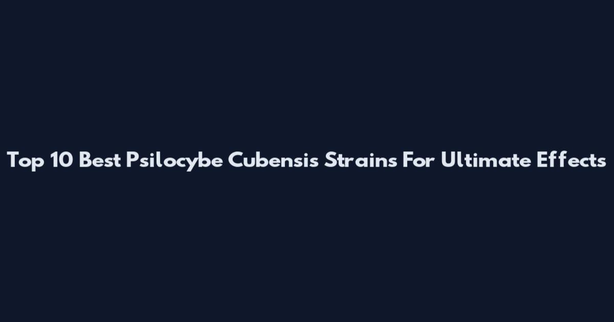 Top 10 Best Psilocybe Cubensis Strains For Ultimate Effects