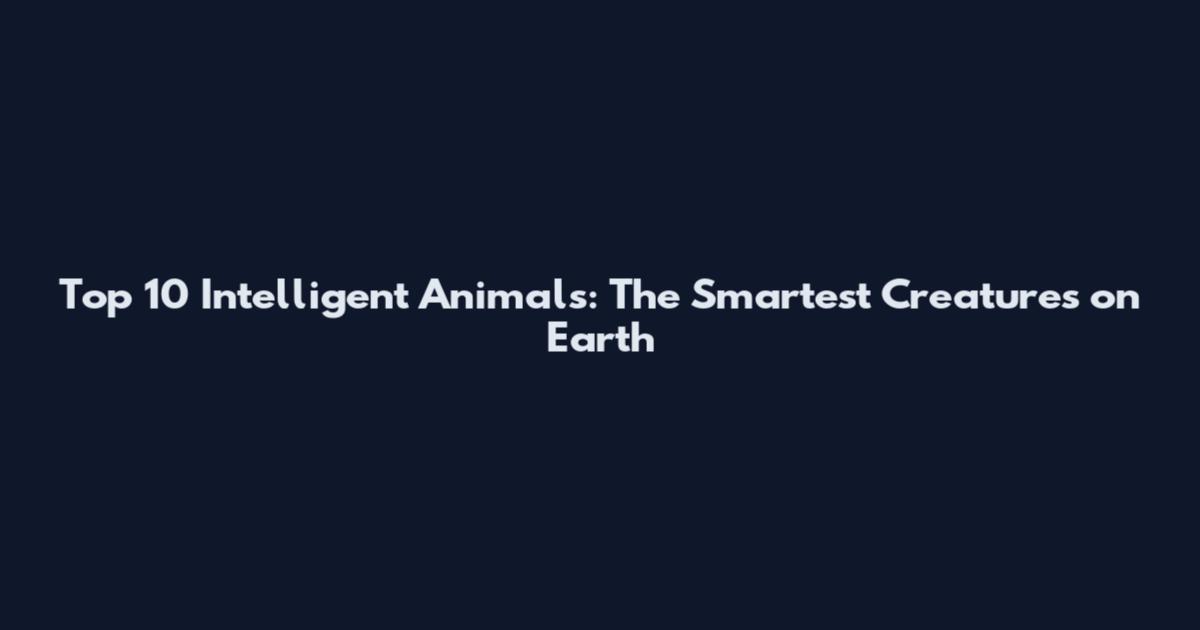 Top 10 Intelligent Animals: The Smartest Creatures on Earth