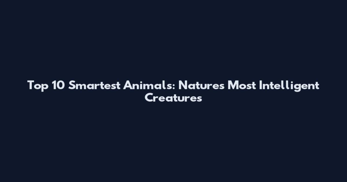 Top 10 Smartest Animals: Nature's Most Intelligent Creatures