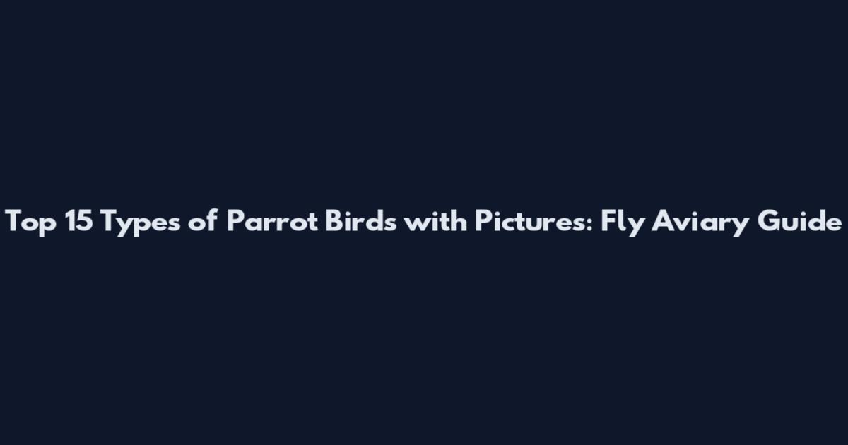 Top 15 Types of Parrot Birds with Pictures: Fly Aviary Guide