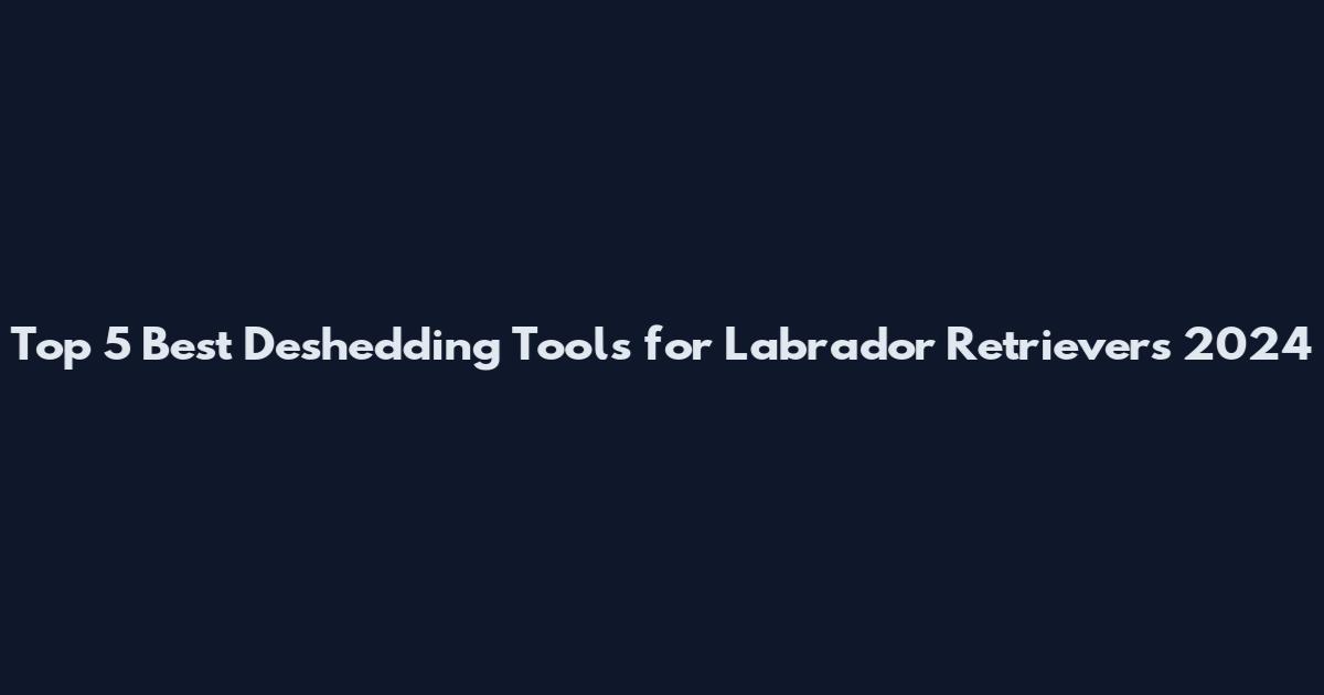 Top 5 Best Deshedding Tools for Labrador Retrievers 2024