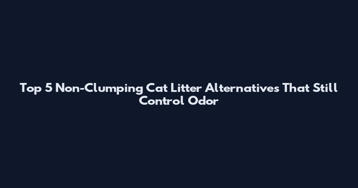 Top 5 Non-Clumping Cat Litter Alternatives That Still Control Odor