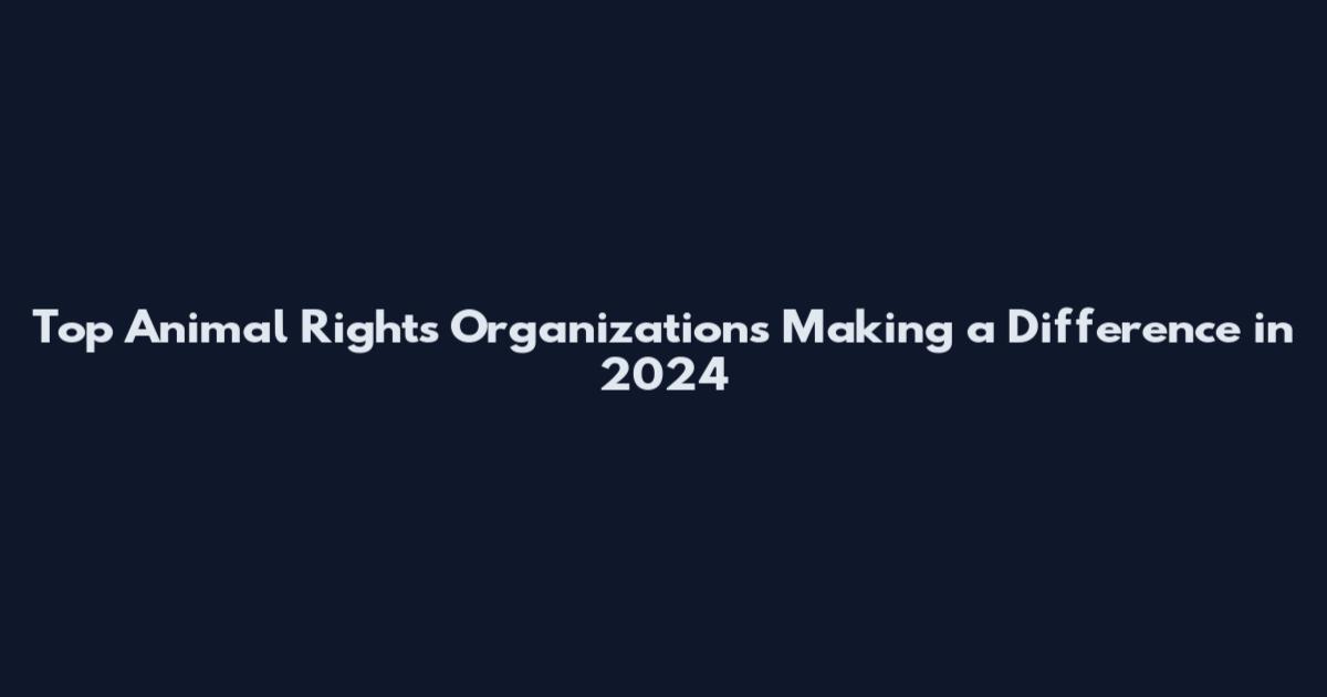 Top Animal Rights Organizations Making a Difference in 2024