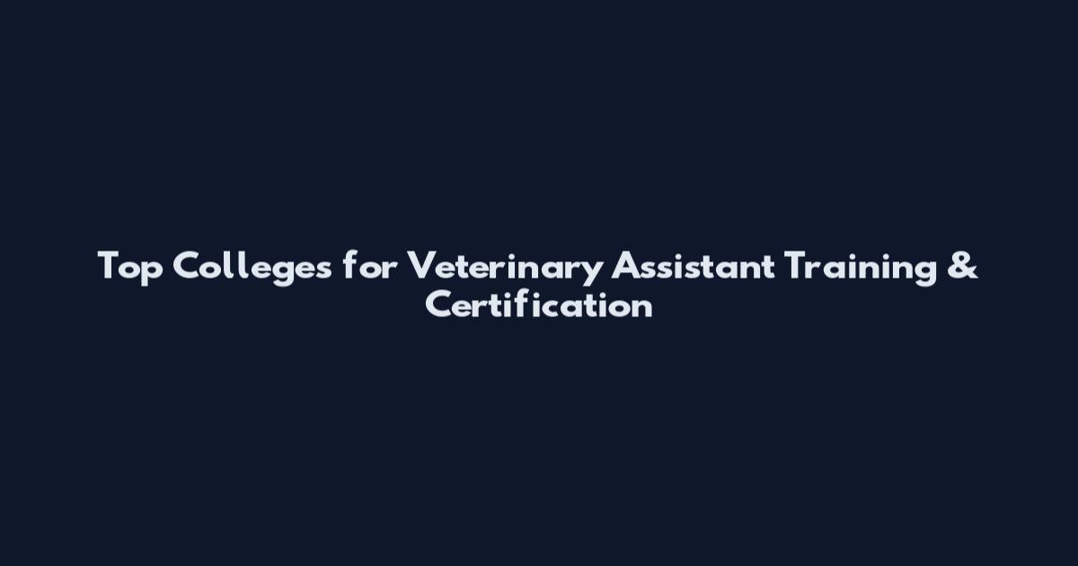Top Colleges for Veterinary Assistant Training & Certification