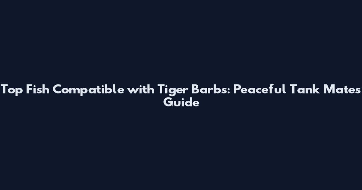 Top Fish Compatible with Tiger Barbs: Peaceful Tank Mates Guide