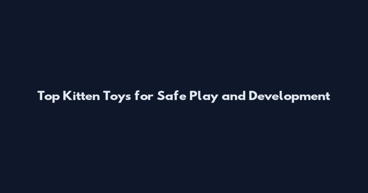 Top Kitten Toys for Safe Play and Development